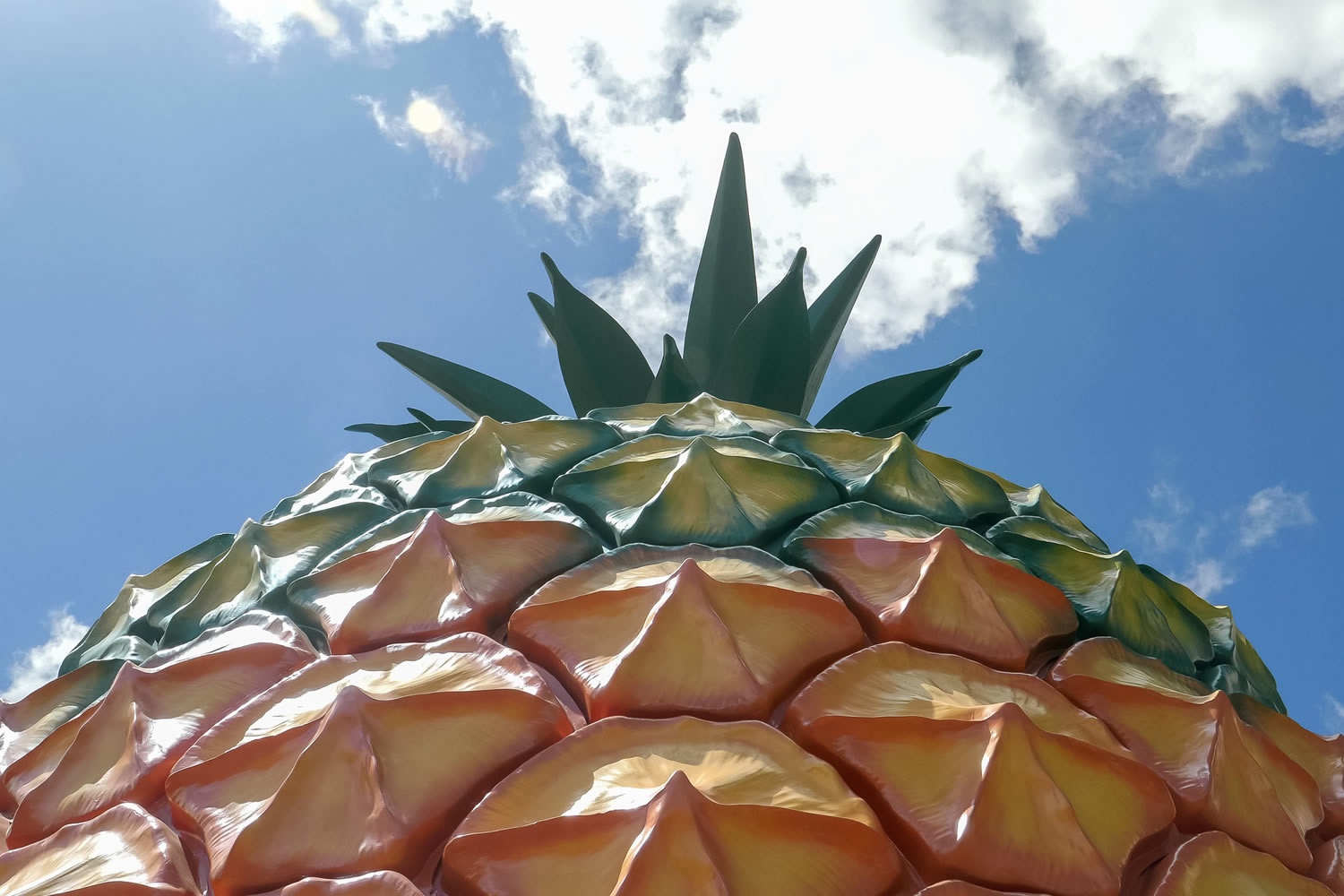 events-for-kids-on-the-sunshine-coast-sunshine-coast-events
